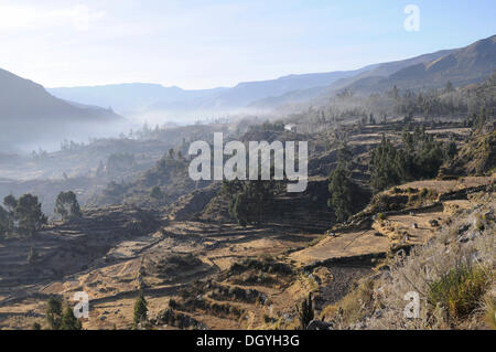 Blick über das Tal, in der Nähe von Maca, Colca Canyon, Peru, Südamerika, Lateinamerika Stockfoto