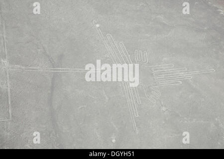 Hummingbird, 96 m, Nazca Linien und Geoglyphen in der Wüste, Nazca, Peru, Südamerika, Lateinamerika Stockfoto