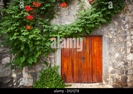 Roten Holztor in alten Steinmauer mit dekorativen Blumen. Perast Stadt, Montenegro Stockfoto