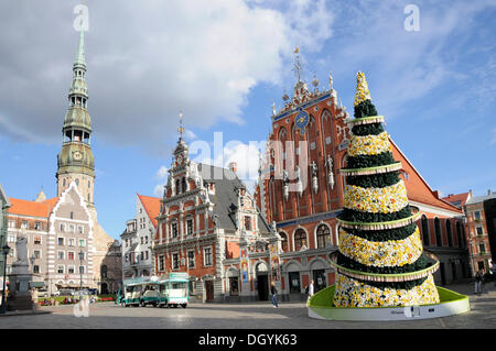 Blackheads House, st.peter Kirche, Rathausplatz, Riga, Altstadt, Lettland, Baltikum, Nordeuropa Stockfoto