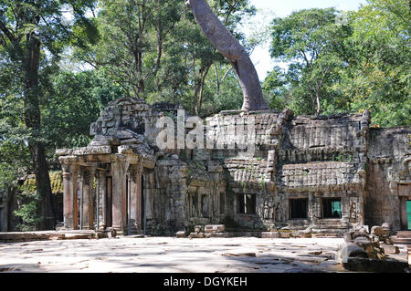 Ta Prohm Tempel Komplex, Angkor, Siem Reap, Kambodscha, Südostasien Stockfoto