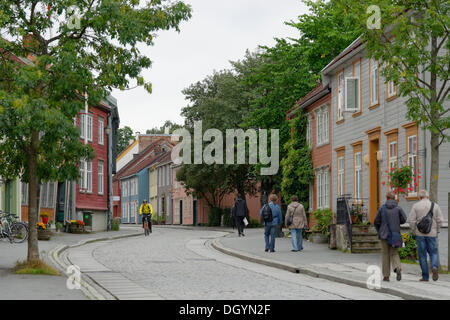 Bunte Holzhäuser in der Altstadt im Zentrum, Bakklandet, Trondheim, Sør-Trøndelag, Trøndelag, Norwegen Stockfoto