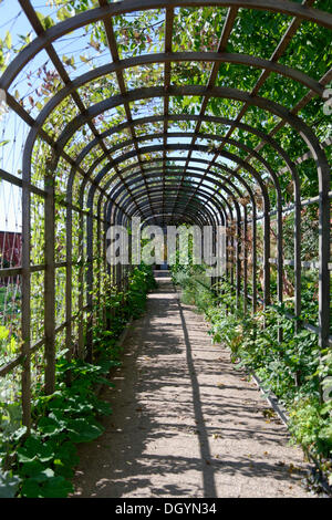 Portikus im Kräutergarten, Laeckoe Burg oder Laeckoe Slott, Lidköping, Vaestra Goetaland Grafschaft, Schweden Stockfoto