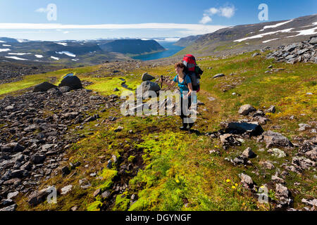 Junge Frau, trekking, Hornstrandir, Westfjorde, West Island, Island, Europa Stockfoto