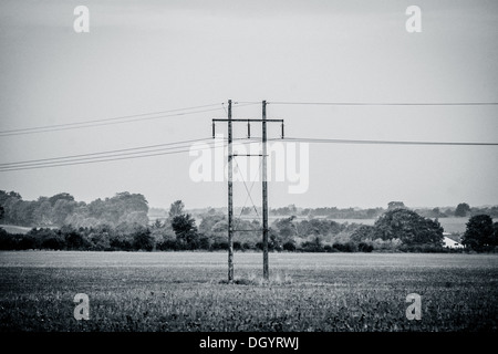 Schwarz / weiß Foto von Masten in einer Landschaft-Landschaft Stockfoto