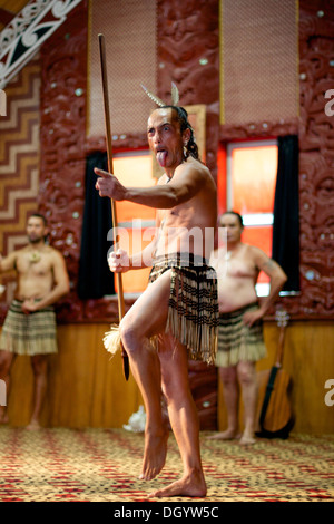 Maori Mann traditioneller Tanz Stockfoto