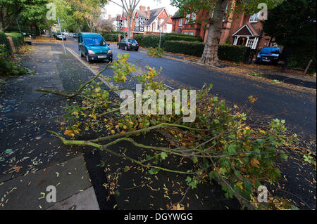 London, UK. 28. Oktober 2013. Nachwirkungen des frühen Morgen Sturm Kraft Windböen in den Vorstädten von London, zweigt Wurf einer baumgesäumten suburban Straße in Merton Park. Der Sturm, genannt St. Jude, brachte das windigste Wetter Großbritannien seit 1987 getroffen. Bildnachweis: Malcolm Park Leitartikel/Alamy Live-Nachrichten Stockfoto