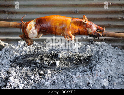 Spanferkel am Spieß, Cebu, Philippinen, Südostasien, Asien geröstet Stockfoto