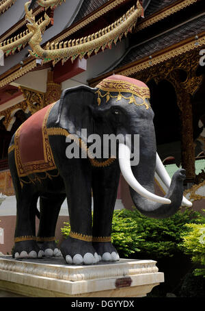 Elefanten-Statue im Wat Chedi Luang Tempel in Chiang Mai, Thailand, Asien Stockfoto