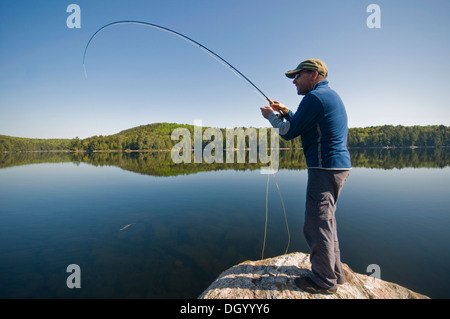 Ein Mann spielt einen Fisch von einem Felsen-Punkt im Algonquin Park, Kanada Stockfoto