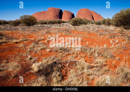 Olgas oder Katja Tjuta, Uluru-Kata Tjuta National Park, Northern Territory, Australien Stockfoto