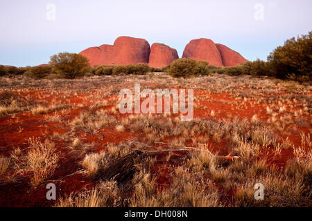 Olgas oder Katja Tjuta, blaue Stunde, Uluru-Kata Tjuta National Park, Northern Territory, Australien Stockfoto