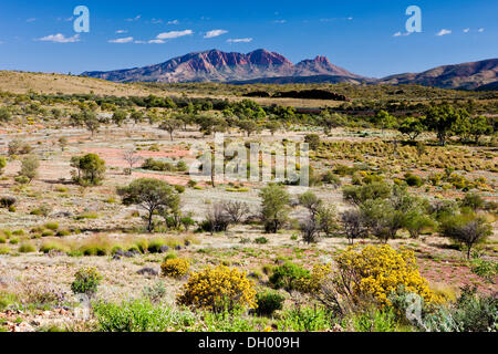 Mt. Sonder, West MacDonnell-Nationalpark, Northern Territory, Australien Stockfoto