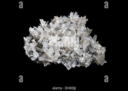 Gips-Kristall, gefunden im Halltal Valley, Nord-Tirol, Austria, Europe Stockfoto