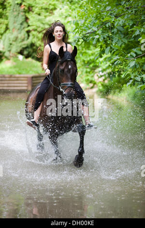 Junge Frau trägt eine Kleid ohne Sattel auf dem Pferd sitzen und Reiten durch Wasser bei einem Trab, Hannoveraner Pferd, Bay, Nordtirol Stockfoto