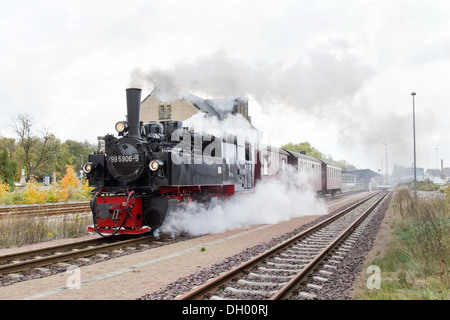 Dampflok zieht einen Personenzug auf die Harz-Mountain Railway in Quedlinburg, Deutschland Stockfoto