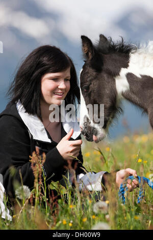 Junge Frau mit Gypsy Vanner oder Tinker Pferdefohlen auf einer Wiese, Pinto, schwarz und weiß, Nord-Tirol, Austria, Europe Stockfoto