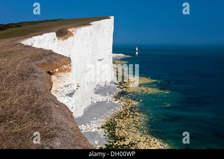 Leuchtturm und weißen Kalkstein-Klippen bei Beachy Head, sieben Schwestern Country Park, East Sussex, England, Vereinigtes Königreich Stockfoto