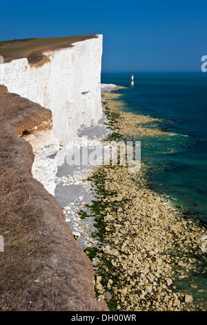 Leuchtturm und weißen Kalkstein-Klippen bei Beachy Head, sieben Schwestern Country Park, East Sussex, England, Vereinigtes Königreich Stockfoto