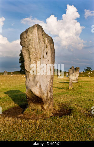 Ring von stehenden Steinen, Steinkreis, Avebury, Wiltshire, England, Vereinigtes Königreich Stockfoto