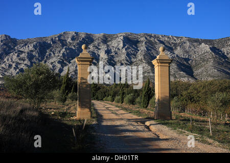 Einfahrt des Weinguts Château Maupague vor Montagne Sainte-Victoire-Gebirge, Provence, Südfrankreich, Frankreich Stockfoto