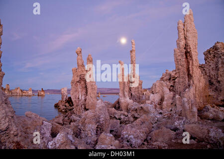 Kalktuff-Formationen am Mono Lake, einem flachen Natron-See, Mono Lake, Mono County, California, Vereinigte Staaten von Amerika Stockfoto