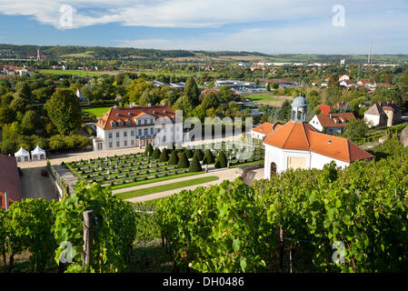 Blick auf Wackerbarth Palast mit dem Belvedere von den Weinbergen, Radebeul, Sächsisches Elbeland Sachsen aus gesehen Stockfoto