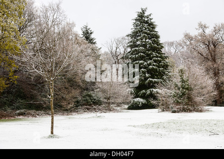 Schnee auf Southampton Common Stockfoto