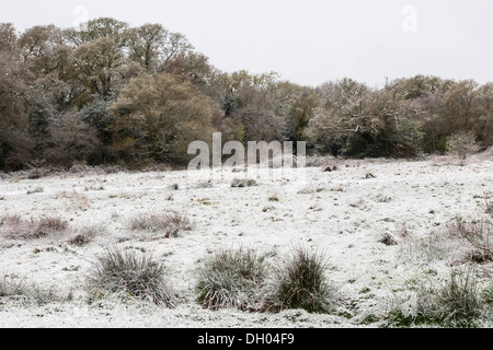 Schnee auf Southampton Common Stockfoto