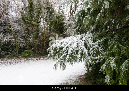 Schnee auf Southampton Common Stockfoto