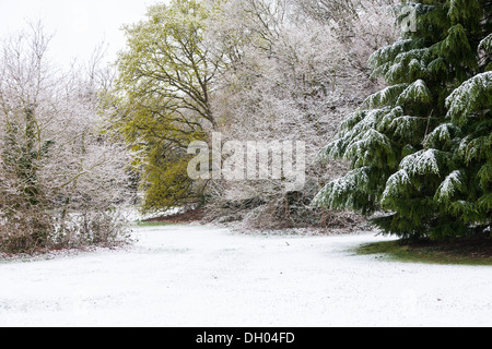 Schnee auf Southampton Common Stockfoto