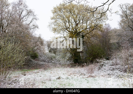 Schnee auf Southampton Common Stockfoto