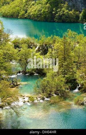 Kaskaden von Wasser laufen über die Travertin Einlagen zwischen den Seen von Plitvice Nationalpark Plitvicer Seen Stockfoto