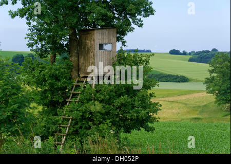 Heben Sie ausblenden, Barsch, die Jagd auf eine Eiche in der Nähe von Freising, Bayern, Oberbayern Stockfoto