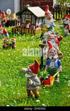 Gartenzwerge, die sieben Zwerge auf einer Wiese, Bueches nahe Buedingen, Hessen, PublicGround Stockfoto