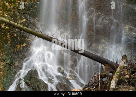 Wasserfall in die Tiefenbachklamm Schlucht, Kramsach, Nord-Tirol, Austria, Europe Stockfoto