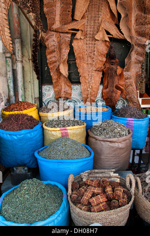 Marrakesch Marokko Medina Souk Lebensmittelhändler Lebensmittelgeschäft Gewürz Kräuter würzen Geschmack genießen Stockfoto