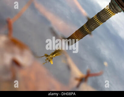 Die Siegessäule ist in einer Pfütze mit Herbstlaub in Berlin, Deutschland, 28. Oktober 2013 wider. Foto: Tim Brakemeier/dpa Stockfoto