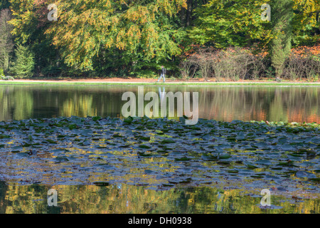 Teich im Herbst bei der St.-Hubertus-Jagdhütte auf der Veluwe, Niederlande Stockfoto