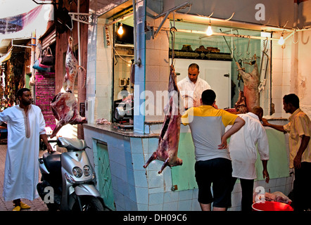 Marrakesch Marokko Medina Souk Lebensmittelhändler Lebensmittelgeschäft Gewürz Kräuter Saison Geschmack savorrocco Stockfoto