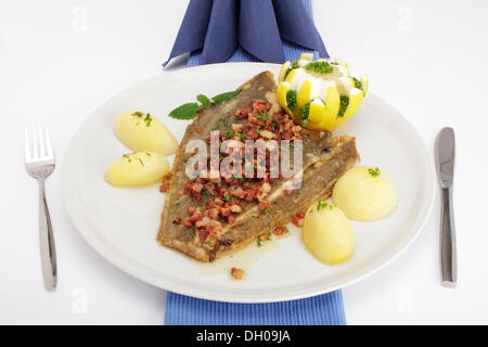 Scholle Finkenwerder Art, Finkwarder Scholl, Gebratene Scholle mit Speck, Kartoffeln und Zitrone Stockfoto