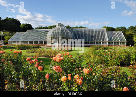 Viktorianischen Glas-Gewächshaus in einem Rosengarten im Park von Schloss Ardgillan in Skerries, County Dublin, Republik Irland Stockfoto