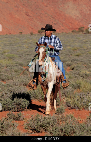 Navajo Cowboy reitet auf einem Mustang, Utah, USA Stockfoto