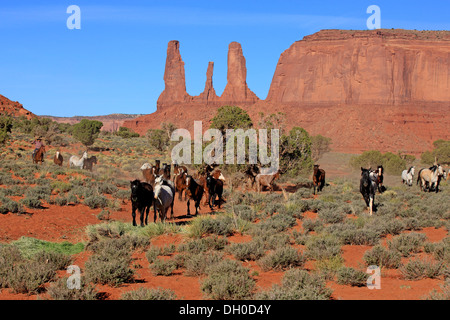 Navajo Cowboy mit Mustangs, drei Schwestern rock Formation, Utah, USA Stockfoto