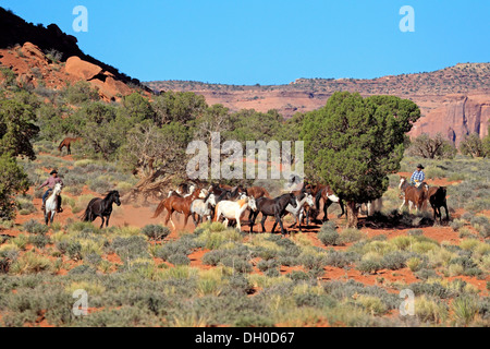 Navajo Cowboys mit Mustangs, Utah, USA Stockfoto