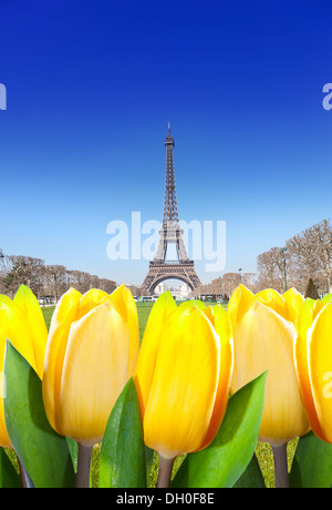 Tour Eiffel und Tulpen im Vordergrund. Stockfoto
