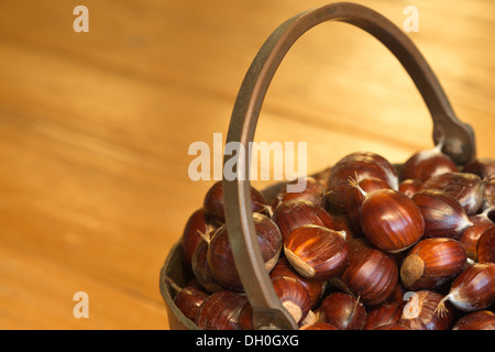 Kupfer behandelt Schüssel voll mit gesammelten Kastanien Früchte bereit, im Herbst gegessen zu werden Stockfoto