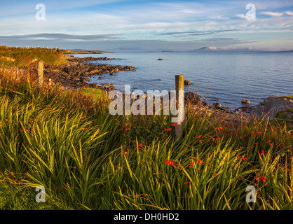 County Galway, Irland: Morgensonne auf die Landzunge von Rinvyle Punkt in der Region Connemara mit Insel Inishbofin Stockfoto