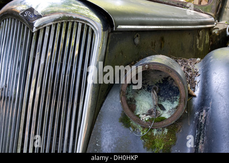 Auto Friedhof Kaufdorf in der Nähe von Bern, Schweiz, Europa Stockfoto