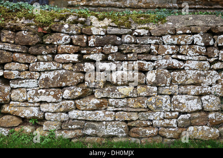 Trockenmauer mit Spitze bedeckt mit Moos und Efeu Stockfoto